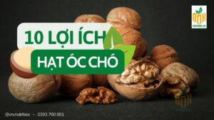 10 Lợi Ích Bất Ngờ Khi Ăn Hạt Óc Chó - "Nữ Hoàng Của Các Loại Hạt"