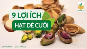 9 Lợi Ích Bất Ngờ Từ Hạt Dẻ Cười - "Món Quà Của Sức Khỏe"